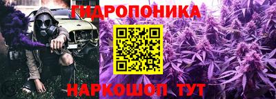 ГАЛЛЮЦИНОГЕННЫЕ ГРИБЫ Заволжье