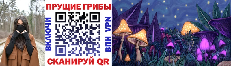 KRAKEN ТОР  Рыбинск  Псилоцибиновые грибы GOLDEN TEACHER 